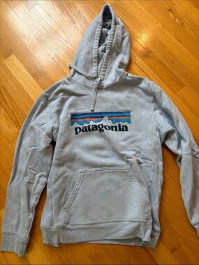 Patagonia Men’s Light Gray Pullover Hoodie with Multicolor Logo